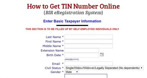 bir eregistration (ereg) system|How to Get TIN ID Number Online using BIR eReg .